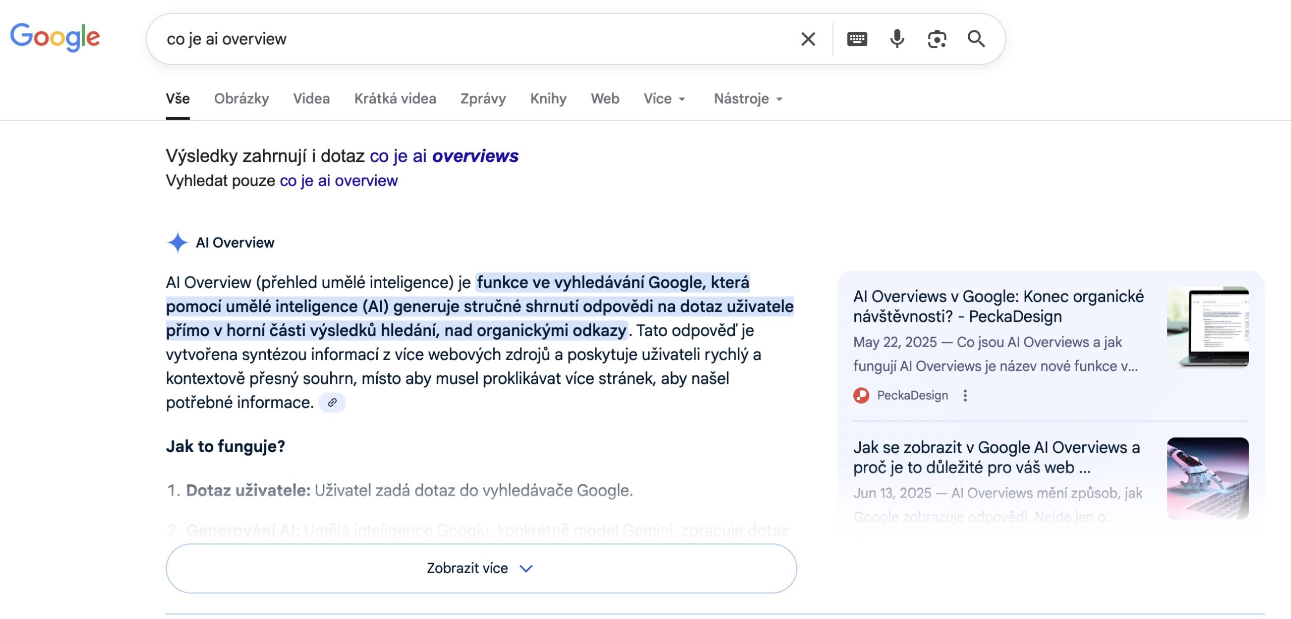 ai-overview